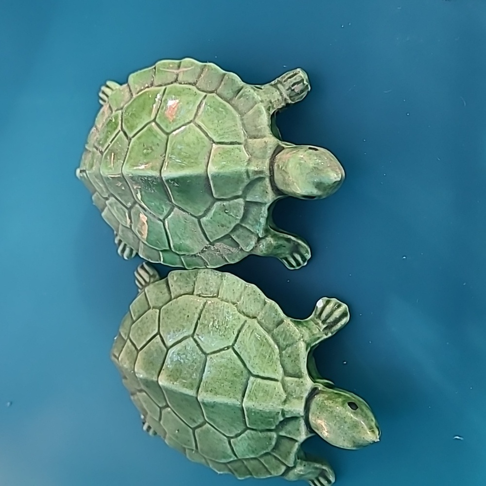 Vintage male and female turtles